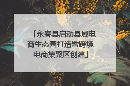 永春县启动县域电商生态圈打造暨跨境电商集聚区创建