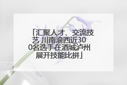 汇聚人才、交流技艺 川南渝西近300名选手在酒城泸州展开技能比拼