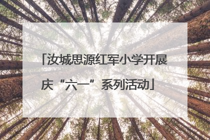 汝城思源红军小学开展庆“六一”系列活动