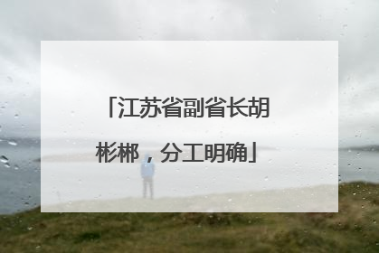 江苏省副省长胡彬郴，分工明确