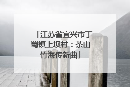 江苏省宜兴市丁蜀镇上坝村：茶山竹海传新曲