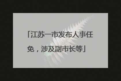 江苏一市发布人事任免，涉及副市长等