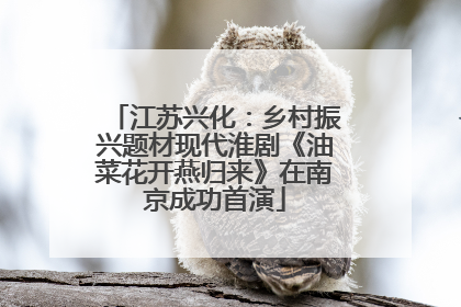 江苏兴化：乡村振兴题材现代淮剧《油菜花开燕归来》在南京成功首演