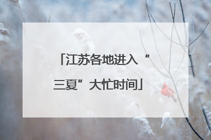 江苏各地进入“三夏”大忙时间