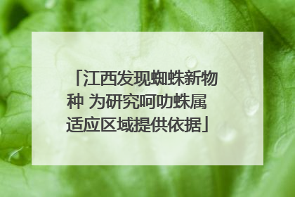 江西发现蜘蛛新物种 为研究呵叻蛛属适应区域提供依据