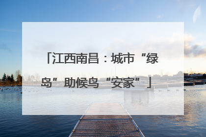 江西南昌：城市“绿岛”助候鸟“安家”