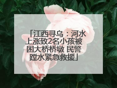江西寻乌：河水上涨致2名小孩被困大桥桥墩 民警蹚水紧急救援