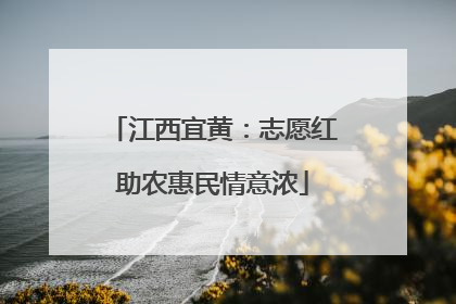 江西宜黄：志愿红助农惠民情意浓