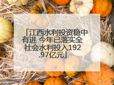 江西水利投资稳中有进 今年已落实全社会水利投入192.97亿元