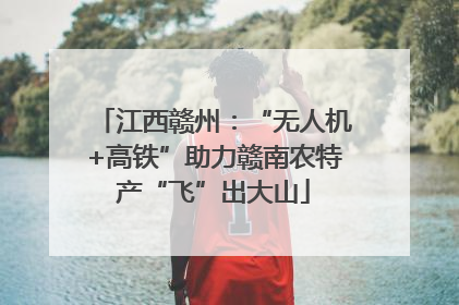 江西赣州：“无人机+高铁”助力赣南农特产“飞”出大山