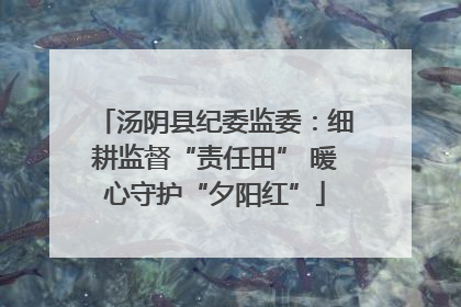 汤阴县纪委监委：细耕监督“责任田” 暖心守护“夕阳红”