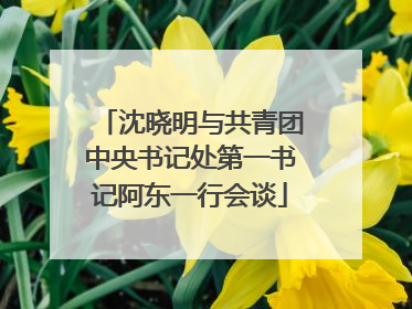 沈晓明与共青团中央书记处第一书记阿东一行会谈
