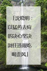 沈晓明：以猛药去疴的决心坚决刹住违规吃喝歪风