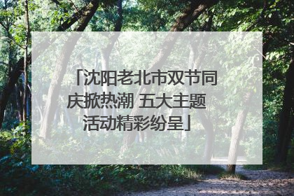 沈阳老北市双节同庆掀热潮 五大主题活动精彩纷呈