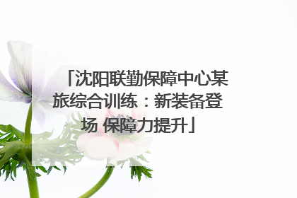 沈阳联勤保障中心某旅综合训练：新装备登场 保障力提升