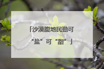 沙漠腹地民勤可“盐”可“甜”