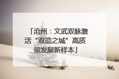沧州：文武双脉激活“双遗之城”高质量发展新样本