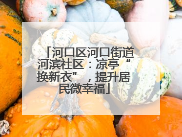 河口区河口街道河滨社区：凉亭“换新衣”，提升居民微幸福