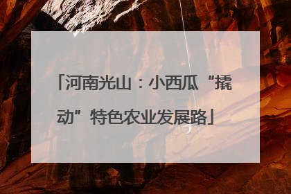 河南光山：小西瓜“撬动”特色农业发展路