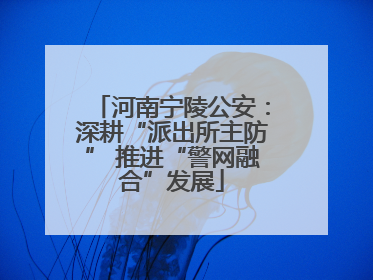 河南宁陵公安：深耕“派出所主防” 推进“警网融合”发展