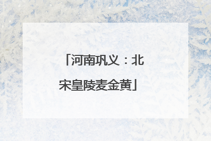 河南巩义：北宋皇陵麦金黄