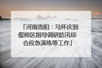 河南洛阳：马怀庆到偃师区指导调研防汛综合应急演练等工作