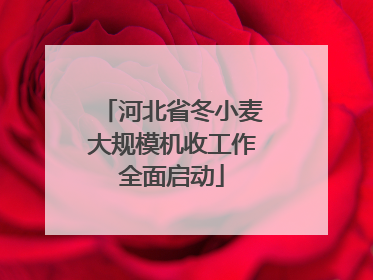 河北省冬小麦大规模机收工作全面启动