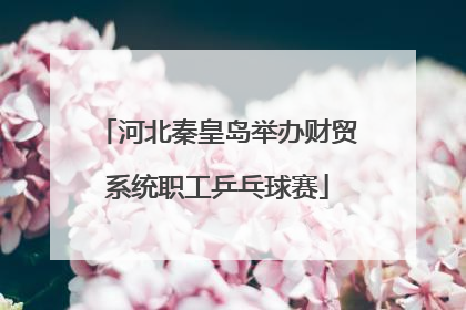 河北秦皇岛举办财贸系统职工乒乓球赛