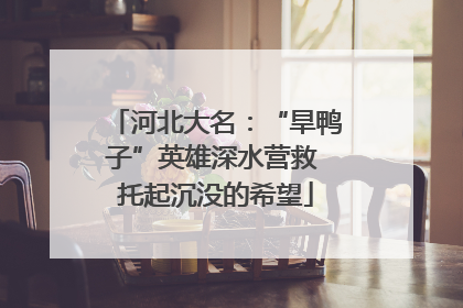 河北大名：“旱鸭子”英雄深水营救 托起沉没的希望