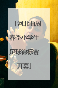 河北曲周春季小学生足球锦标赛开幕
