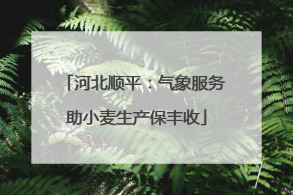 河北顺平：气象服务助小麦生产保丰收
