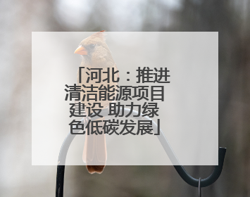 河北：推进清洁能源项目建设 助力绿色低碳发展