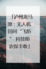 泸州龙马潭：无人机田间“飞防” 科技助农保丰收