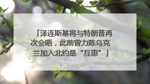 泽连斯基将与特朗普再次会晤，此前曾力陈乌克兰加入北约是“互惠”