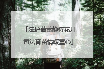 法护蓓蕾静待花开 司法育苗情暖童心