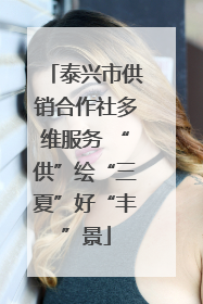 泰兴市供销合作社多维服务 “供”绘“三夏”好“丰”景