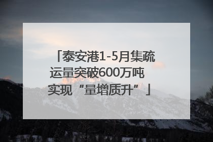 泰安港1-5月集疏运量突破600万吨 实现“量增质升”