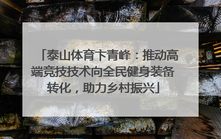 泰山体育卞青峰：推动高端竞技技术向全民健身装备转化，助力乡村振兴