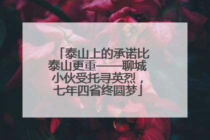 泰山上的承诺比泰山更重——聊城小伙受托寻英烈，七年四省终圆梦