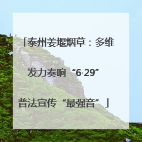 泰州姜堰烟草：多维发力奏响“6·29”普法宣传“最强音”