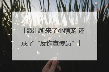 派出所来了小萌宠 还成了“反诈宣传员”