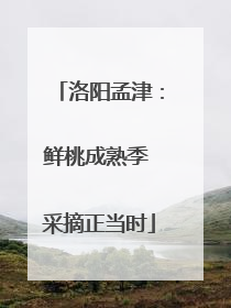 洛阳孟津：鲜桃成熟季 采摘正当时