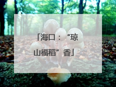 海口：“琼山福稻”香