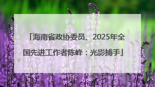 海南省政协委员、2025年全国先进工作者陈峰：光影捕手