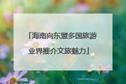 海南向东盟多国旅游业界推介文旅魅力