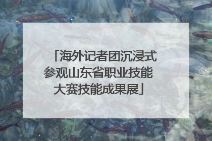 海外记者团沉浸式参观山东省职业技能大赛技能成果展