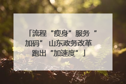 流程“瘦身”服务“加码” 山东政务改革跑出“加速度”