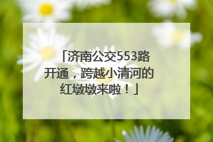 济南公交553路开通，跨越小清河的红墩墩来啦！