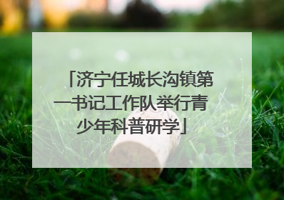 济宁任城长沟镇第一书记工作队举行青少年科普研学