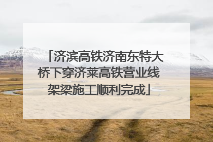 济滨高铁济南东特大桥下穿济莱高铁营业线架梁施工顺利完成